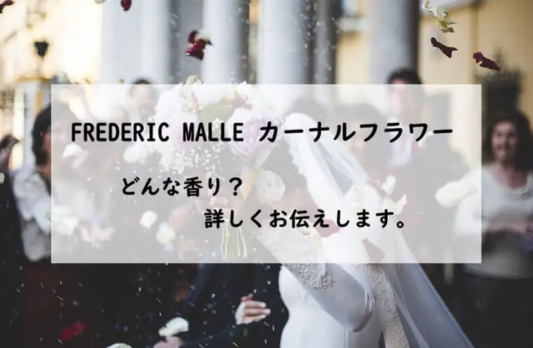 フレデリックマル】カーナルフラワーとは？表情豊かなチュベローズ