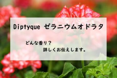 【ディプティック】ゼラニウムオドラタの香水レビュー｜優しい花