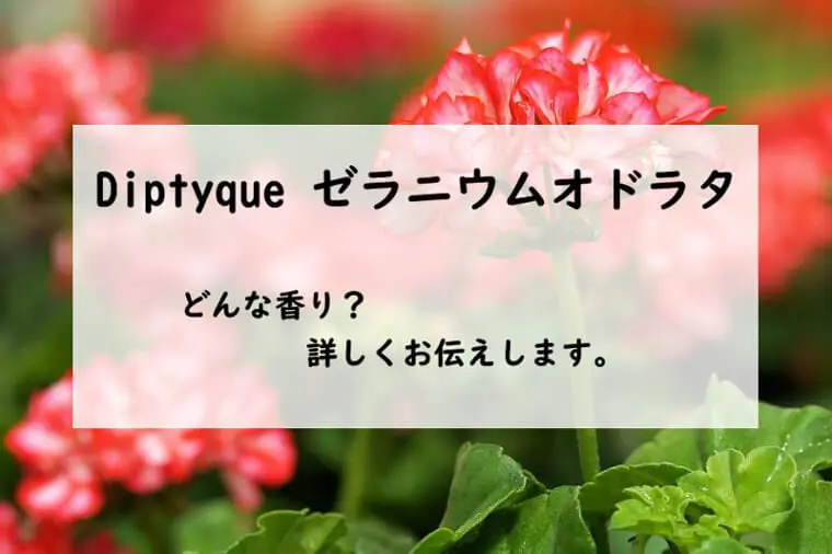 ディプティック】ゼラニウムオドラタとは？優しい甘さのフローラル