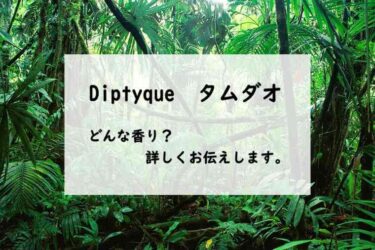 【ディプティック　タムダオ】香水レビュー『湿度を帯びた木』