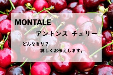 【モンタル】アントンスチェリーの香水レビュー｜蜜ブラックチェリー
