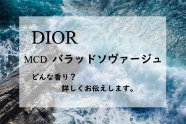 【ディオール】MCDバラッドソヴァージュの香水レビュー｜岩肌と波