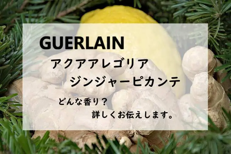 GUERLAIN アクアアレゴリア ジンジャーピカンテ75ml ゲラン】アクア アレゴリア ジンジャー ピカンテ（デルフィーヌ