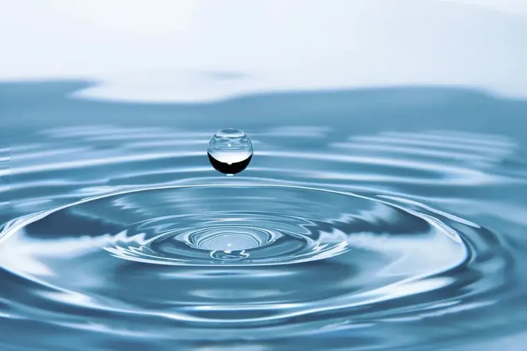 エルメティカ】ソース1の香水レビュー｜HERMETICAの核