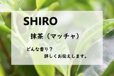 【シロ】MATCHA（抹茶・マッチャ）の香水レビュー｜冷たい緑茶