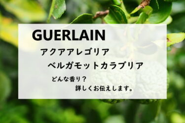 【ゲラン／アクアアレゴリア　ベルガモットカラブリア】香水レビュー