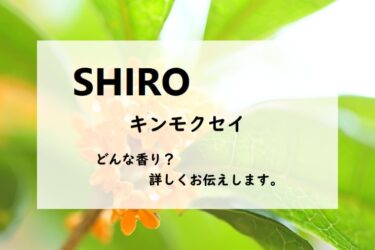 【SHIRO（シロ）キンモクセイ・オードパルファン】香水レビュー