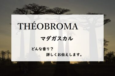 【テオブロマ】マダガスカルの香水レビュー｜南国の花と桃缶白チョコ