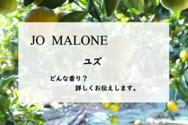 【ジョーマローン】ユズの香水レビュー｜柚子キャンディとモミの葉