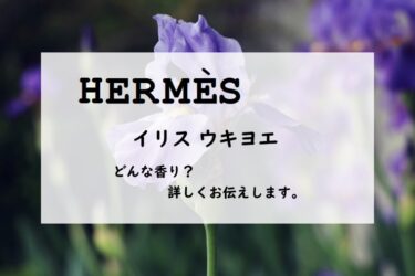 【エルメス】イリスウキヨエの香水レビュー｜雨中に咲くアイリスの花