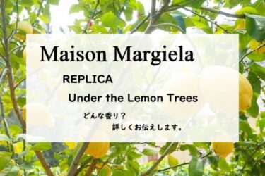 【メゾンマルジェラ】レプリカ アンダーザレモンツリーのレビュー