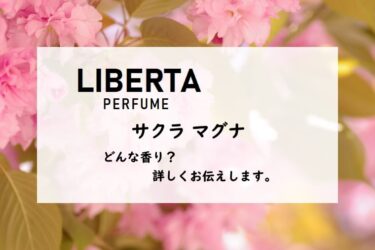 【リベルタパフューム】サクラマグナの香水レビュー｜堂々たる桜の木