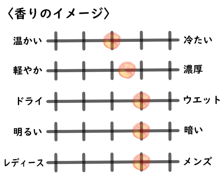 【ズーロジスト】キャメルのイメージチャート