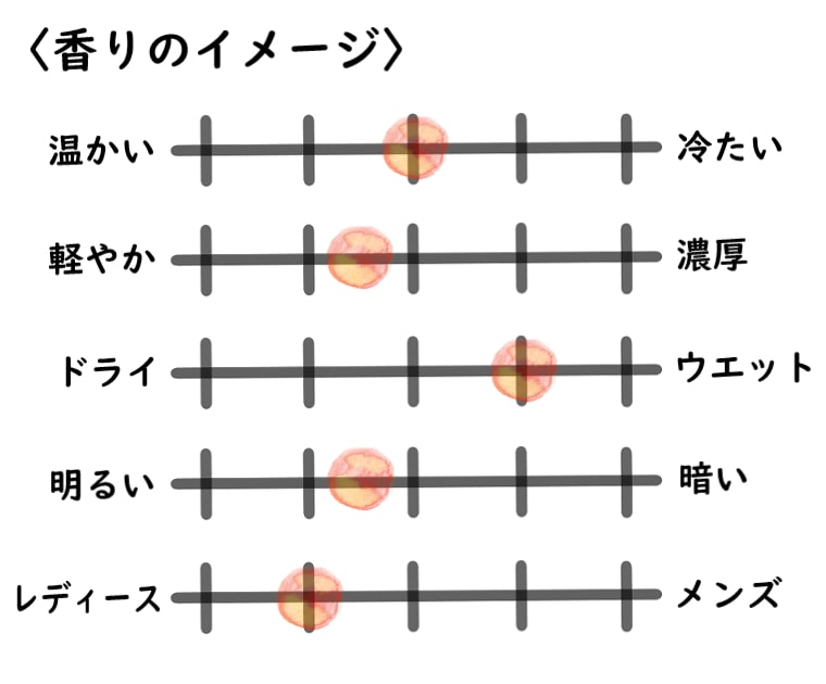 【サンタマリアノヴェッラ】ローザノヴェッラのイメージチャート