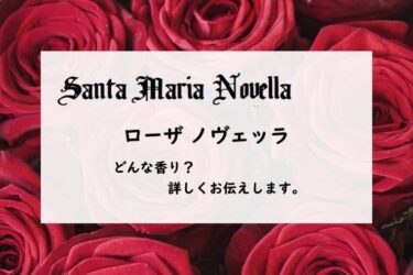 【サンタマリアノヴェッラ】ローザノヴェッラとは？安定感のある薔薇