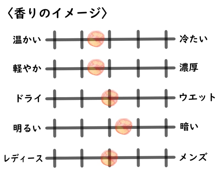 【ジョーマローン】ミッドナイトムスク&アンバーのイメージチャート