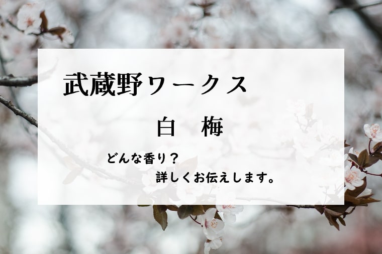 【武蔵野ワークス】白梅の香りとは