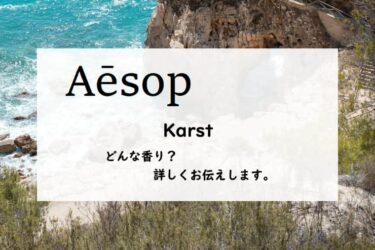 【イソップ】カーストとは？荒波と白い岩肌、海岸の香り
