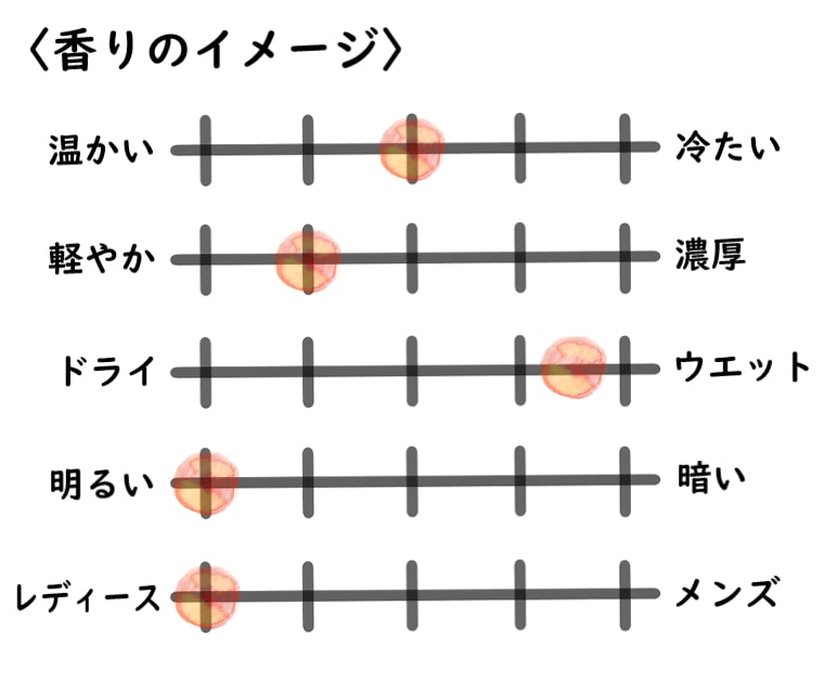 【ディオール】ミスディオール ブルーミングブーケのイメージチャート